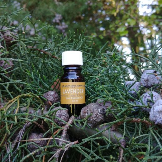 pure essential oils lavender 10ml