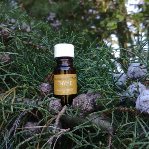 pure essential oils thyme 10ml