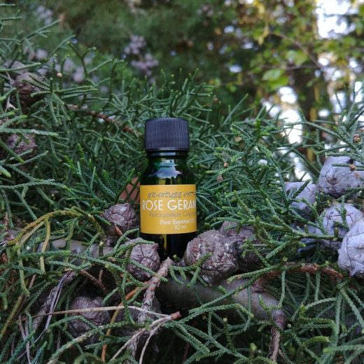 pure essential oils rose geranium 10ml