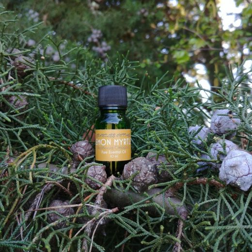 pure essential oils lemon myrtle 10ml