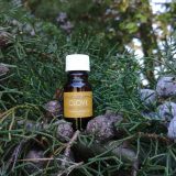 pure essential oils clove 10ml