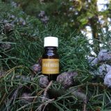 pure essential oils pine needles 10ml