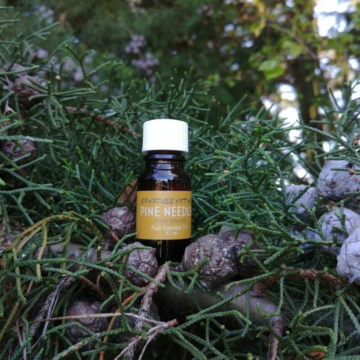 pure essential oils pine needles 10ml